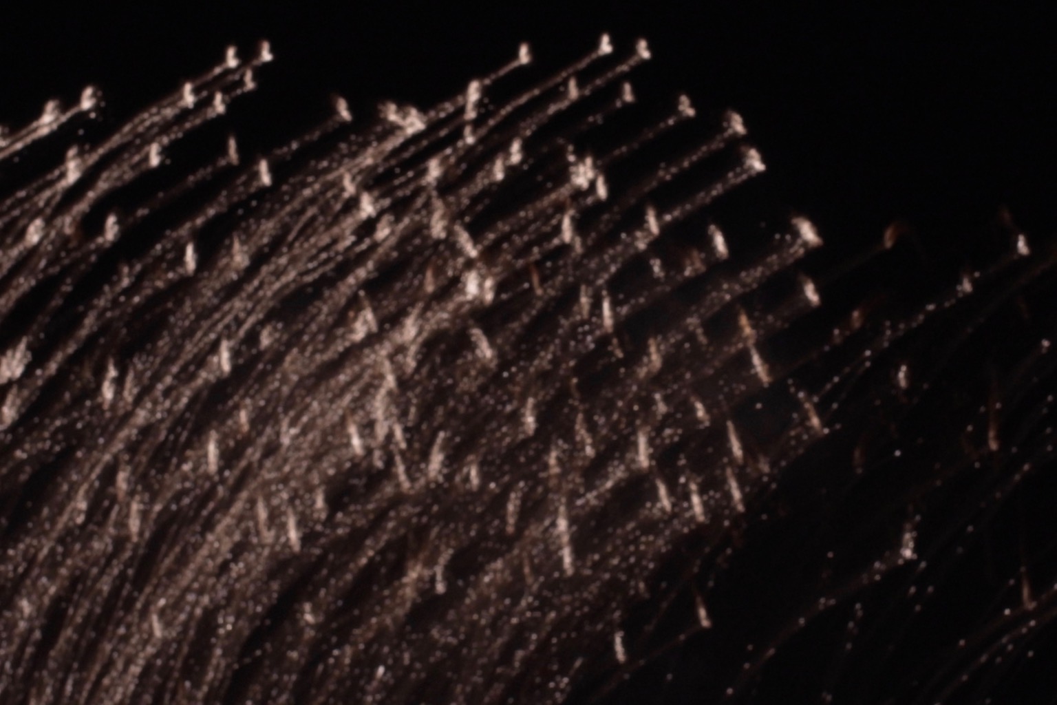 aerodinamica_promenade_des_anglais_fireworks.