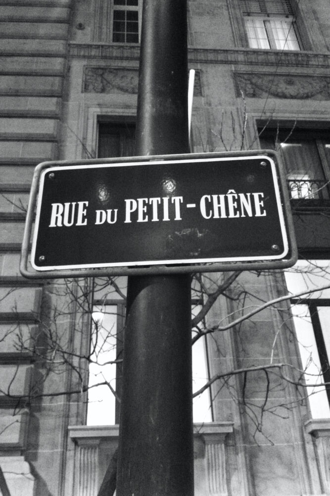 Rue du petit chene